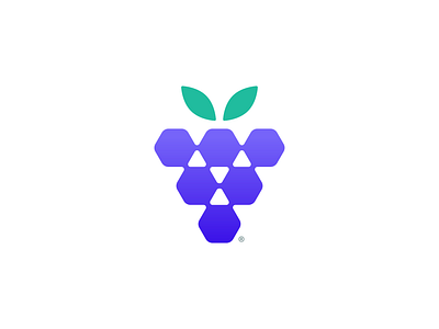 Hexagrape® brand branding concept fruit grape hexagon icon illustration logo logo design logomark mark minimal minimalist monogram nature logo simple startup symbol vector