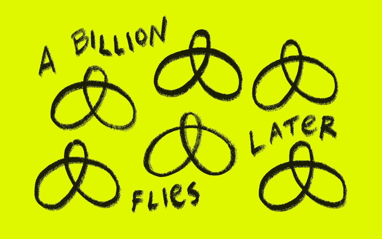 A billion flies later animation bardee digital frame animation hand drawn illustration line pencil procreate rough sketchy story storytelling