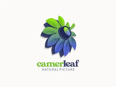 Leaf and camera logo combination animation branding camera design flat illustration leaf logo photo photography typography ui ux vector