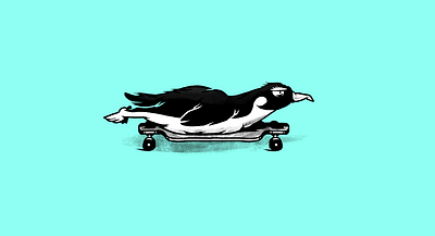 Skate wild. Penguin. animals bw characters illustration longboard longboarding monochrome penguin skate skateboarding