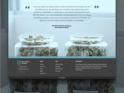 Website design for Blue Nature Product CBD Shop cannabis cannabis business cbd cbd oi cbd website design dropship dropshipping ecommerce hemp hemp oil logo ui ux ux designer web webdesign webdevelopment website woocommerce