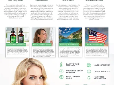 Product Infographic brand branding cosmetic design flat guide icon illustration infographic logo minimal product