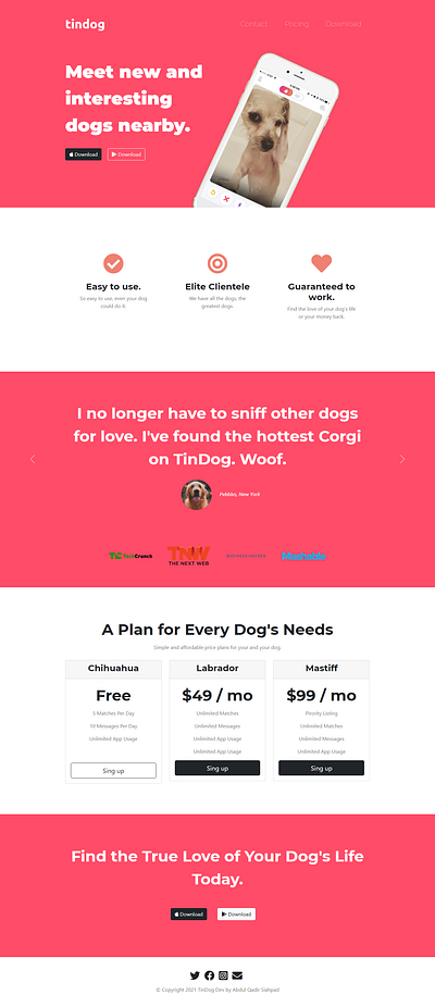 tindog branding online store