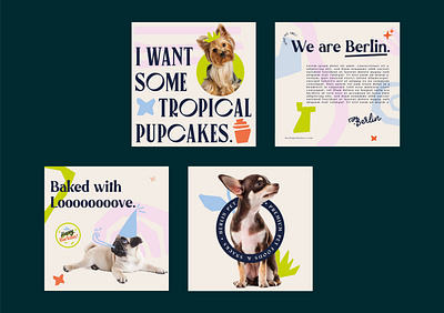 Berlin Pet Bakery brand branding design graphic design illustration logo typography vector