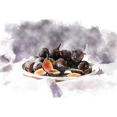 Plate of Figs digital painting illustration photoshop