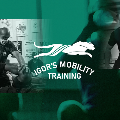 Visual Identity for Igor's Mobility Training branding design logo typography