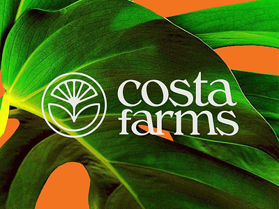 Costa Farms Brand Concept branding costa design farm flowers greenhouse house plant logo minneapolis minnesota orange plant plants vector