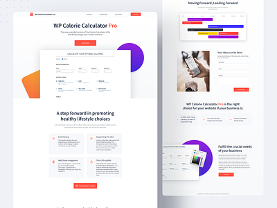 WP Calorie Calculator PRO dashboard design development minimal plugin service ui web website website design wordpress