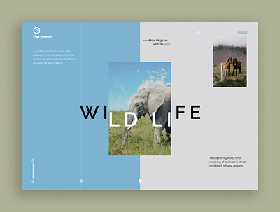 Vida Selvestre animals branding design desktop website elephants figma god horses illustration landingpage logo nature typography ui ux vector wildlife