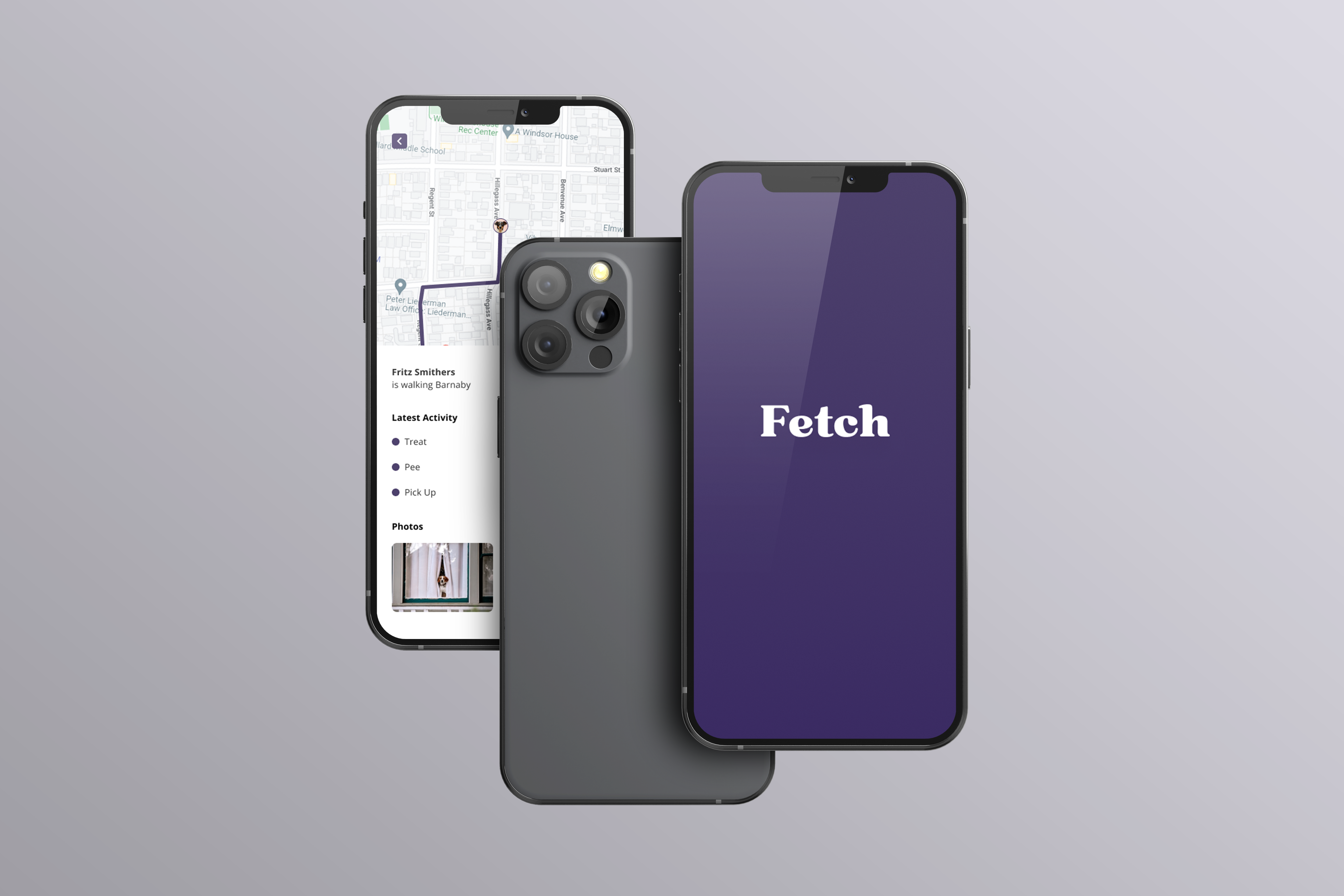 Fetch Case Study case study dog walking dribbble ui ux