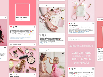 Arrogance Parfums beauty branding content design design graphic design instagram instagram design instagram feed make up parfum parfums pink rose social media design visual design visual identity