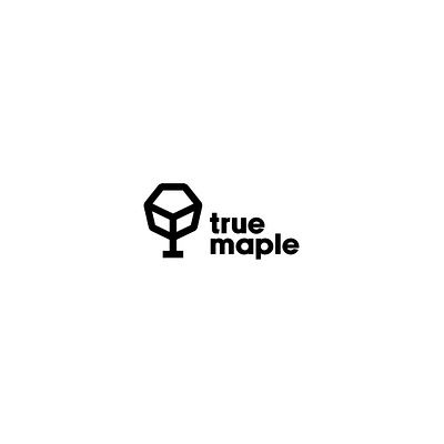 true maple branding design flat graphic design logo vector