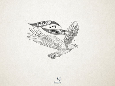 Bald Eagle Sketch animation branding classic custom type design drawing graphic design illustration lineart logo logo design motion graphics sketch t shirt ui vector vintage design vintage illustration