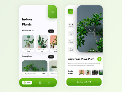 Indoor Plant App UI branding