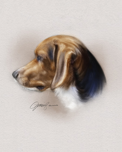 Beagle Portrait beagle dog pets portrait procreate profile