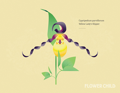 Lady slipper active guide system brand creative direction custom curated maps design flower specimens gamification hike hike with kids identity illustration thewayfindercompany trail kids trail time wco ags wild flower child wild flowers