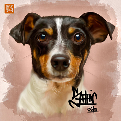 StarDawg digitalart digitalpainting dog dogportrait drawing hyperrealism illustration illustrations jonathansophie realism realistic