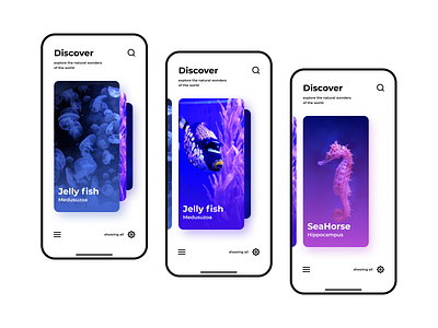 Amfibian - Aquatic exploration 🐠 animation appdesign appui branding design figmadesign graphic design illustration minimal minimalism motion graphics soft ui ui uidesign uiux uiuxdesign