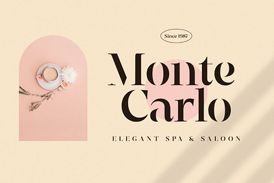 Elegante Classica - Modern Serif advertising branding classy display display font eelgant fashion font fonts lettering logo magazine minimalist modern sans serif serif stylish typeface typography unique