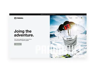 PandaHill SnowGoggles brand graphic design interface ui web