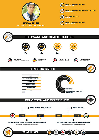 Infographic Resume animation branding colour design editing effector graphic design icon illustration illustrator infographic logo motion graphics resume ui