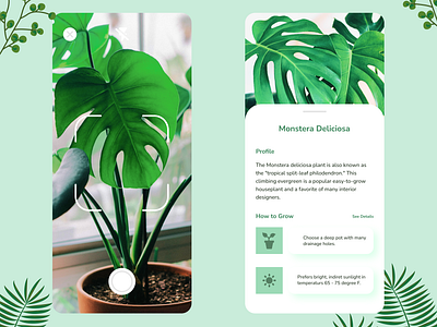 Plant Application app design mobile ui ux