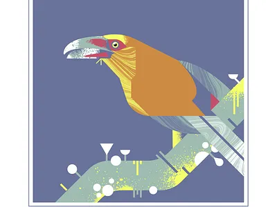 Scarlett Toucanet bird character design geometric illustration texture vector
