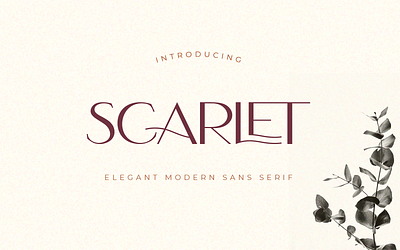 Scarlet - Elegant Modern Font creative market design font font awesome font design illustration logo logotype monoline vintage