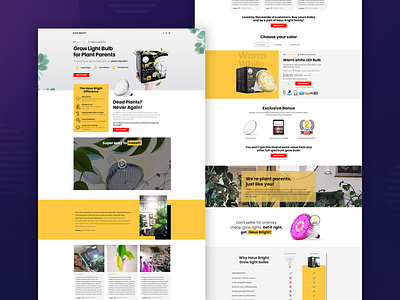 Haus Bright design figma landing page landing page design ui web design web development