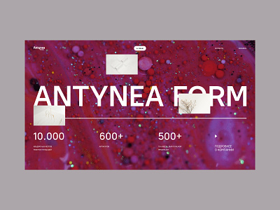 Antynea branding design flat full screen typography ui ux