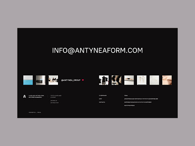 Antynea design flat product typography ui ux website