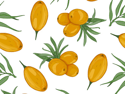 Colorful sea buckthorn pattern berries colorful design food illustration natural orange organic pattern seabuckthorn vector