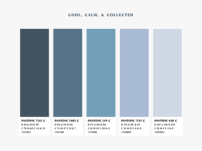 Cool, Calm, & Collected Color Palette | Weekly Warm-up blue branding color palette colors cool design graphic design vector weekly warm up