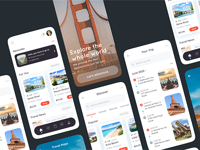 Travel and Destination Mobile App app country date destination flight hotel insterface itinerary map mobile mobile app pin place route ticket travel trip ui ux world