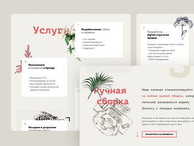 small digital agency landing page concept botanic branding corporate design digitalagency graphicdesign handmade illustration landingpage marketing pale photoshop typographic typography ux vintage web webdesign