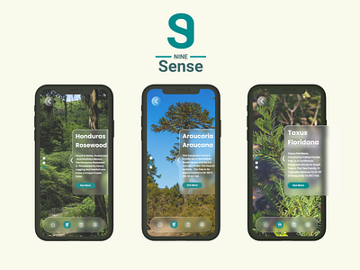 NINE Sense | Sharing Awareness of Endangered Trees design endangered extinct forest glassmorphism graphic design green illustration mountain nature plants trees ui