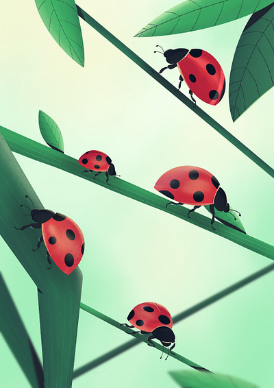 Ladybugs design environment graphic design illustration insects ladybug ladybugs lukky nature plants procreate