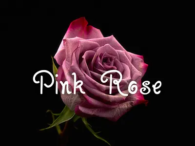 Pink Rose planner