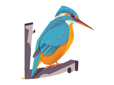 Fauna in wetlands animal bird character design colourful dani maiz editorial illustration fauna illustration kingfisher magazine illustration natur wetland