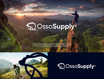 Outdoor gear brand bear branding design gradient logo logo design logodesign modern outdoor outdoor gear technology