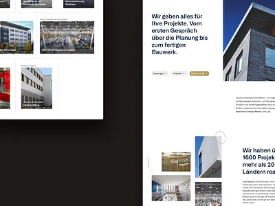 Delta Gruppe: Rebranding agency branding design layout mockup ui ux web website