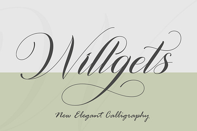 Wilgets branding graphic design logo motion graphics