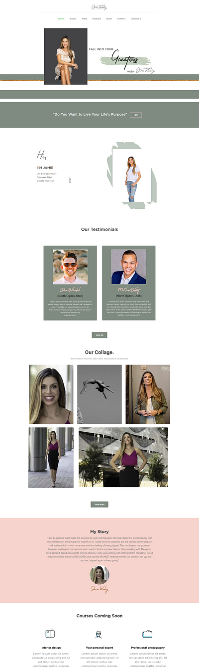 portfolio website demo - 2 ahmod branding design illustration isp mumin mumin ahmod murad portfolio ui web design website website design