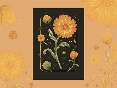 Calendula art print design digital illustration fine art illustration nature study procreate