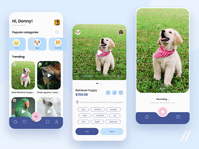 Pet Marketplace App animation app design ecommerce market marketplace mobile mvp online pet pet market pets puppy purrweb startup store streaming ui ux video