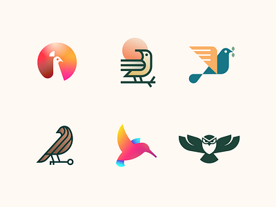 Birds bird book branding clever design flat geometry gradient icon illustration jungle kingfisher lock logo mark minimal owl peacock sun wild