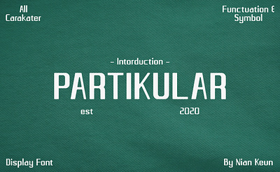 Partikular Font fonts