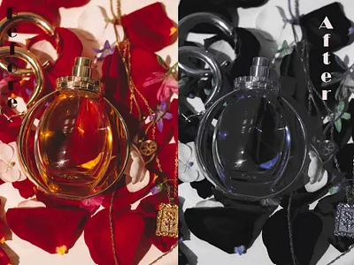 color effects animation graphic design