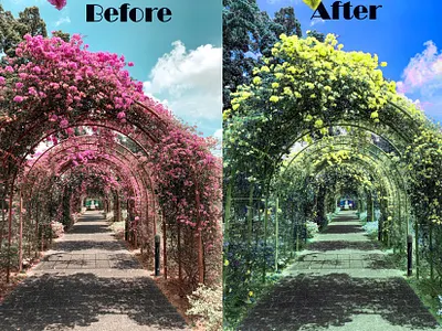 Color effects animation design graphic design