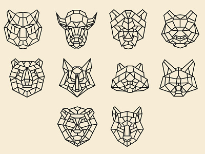Polygonal animals animal art bear bison cat concept fox geometric illustration line lion lowpoly panda panther polygon polygonal raccoon silhouette tiger wolf